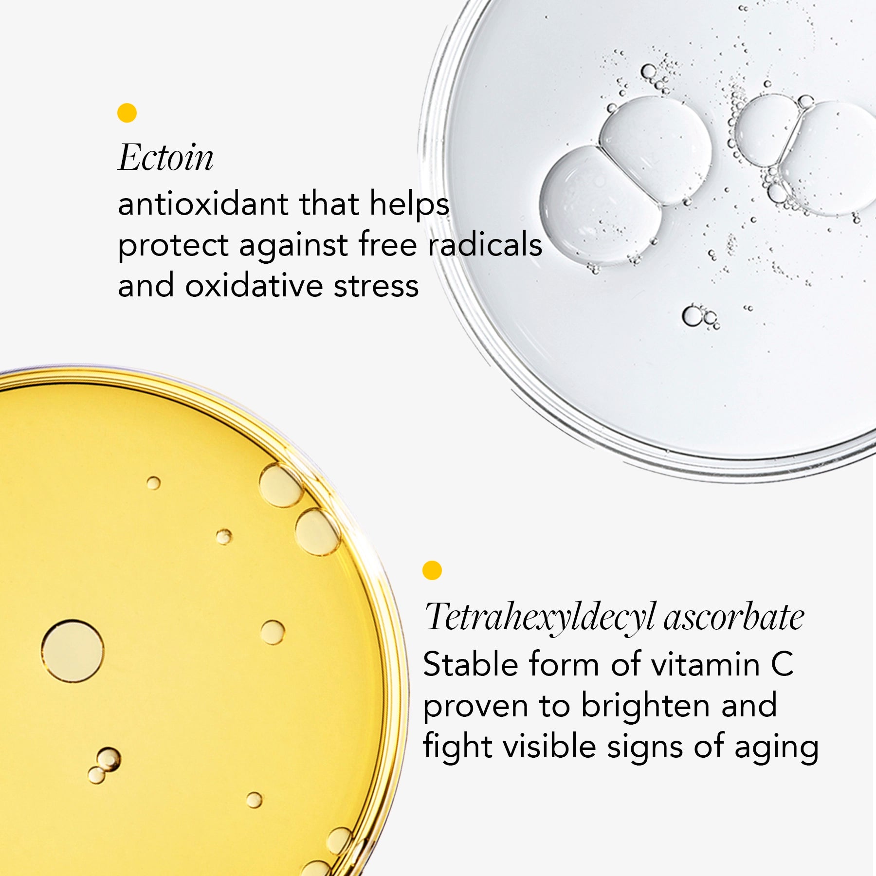 DAILY PREVENTION™ clear solar gel SPF 30